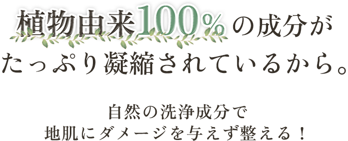 植物由来100%の成分がたっぷり凝縮されているから。自然の洗浄成分で地肌にダメージを与えず整える！