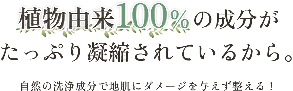 植物由来100%の成分がたっぷり凝縮されているから。自然の洗浄成分で地肌にダメージを与えず整える！